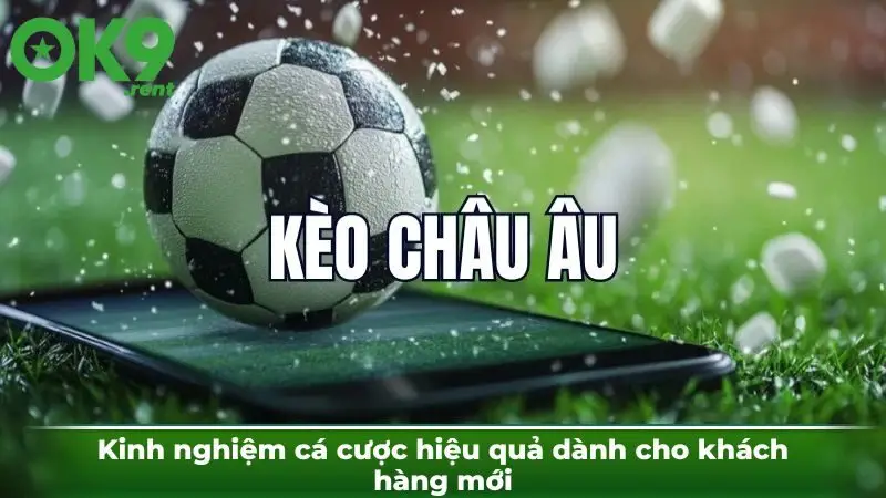 Kinh nghiệm cá cược hiệu quả dành cho khách hàng mới