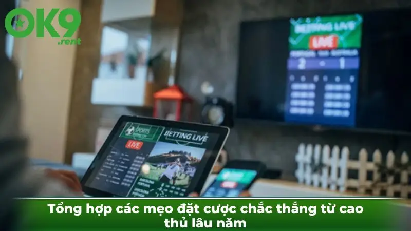 Tổng hợp các mẹo đặt cược chắc thắng từ cao thủ lâu năm
